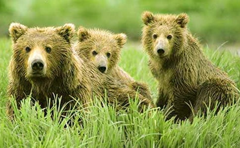 �����c����ͯԒ����350��