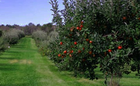 ���@�а���ͬ(��(j��ng)��15ƪ)