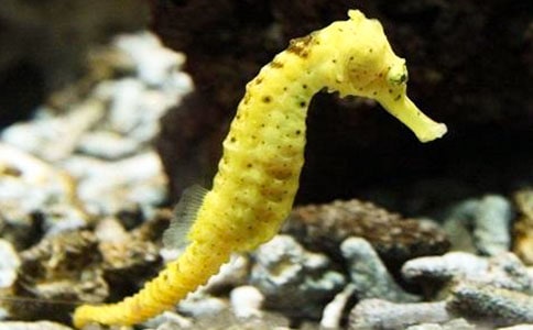 �Ї�ͯԒ����-���R�ְ�