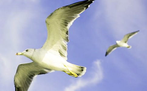 �����t���_(k��i)�ĵľ���