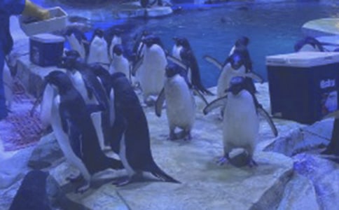 ��ۺ��󹫈@��(d��o)���~