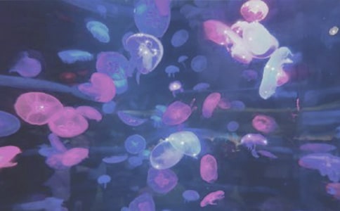 ���Ϻ��������󹫈@����