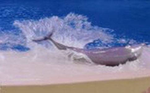 ���{ɫ�ĺ����u���x���400��