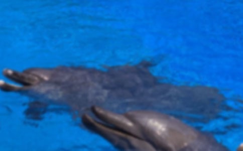 �������������400�֣�ͨ��12ƪ��