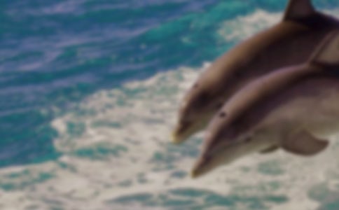 С�W�����ٵ��x���200�֣���������ˡ��x���