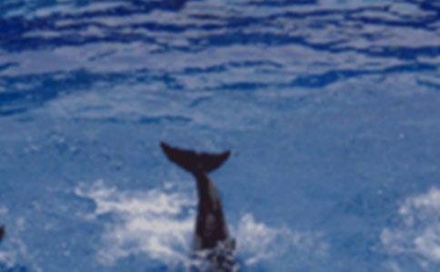 ���������400�֣�ͨ��29ƪ��