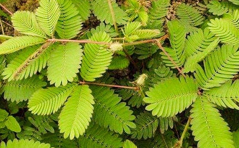 ���߲��^����ӛ