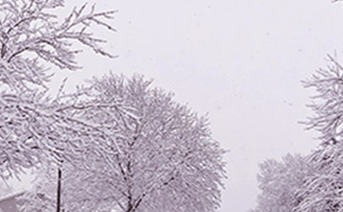 �������׃���亮�����������