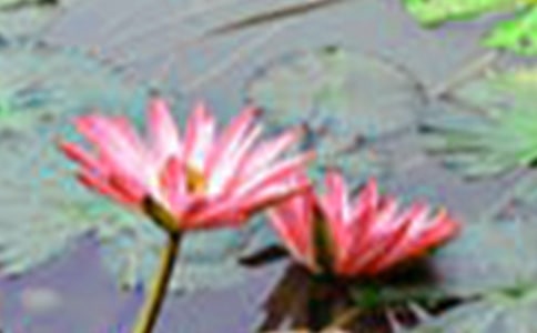 ���ݱ���ɻ��ľ���