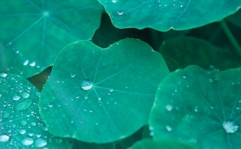 �����ҵ����еĺ��~����700��