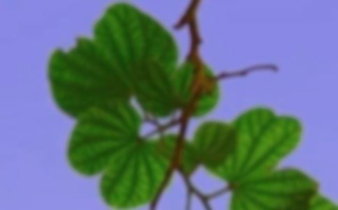 ��������(l��i)���C���Ծ���