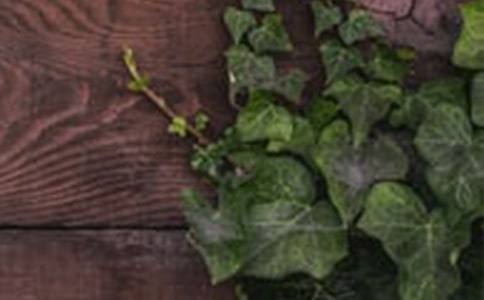 �������C�Gɫ�҈@���h��