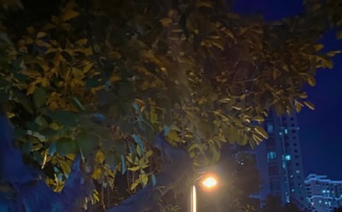 ��ҹ��Ľ�(j��ng)����������