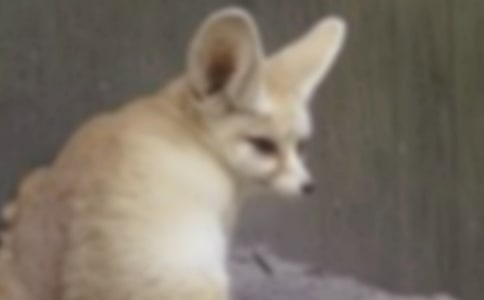 ���˲���ĺ�؂�ְ֡�400���x���