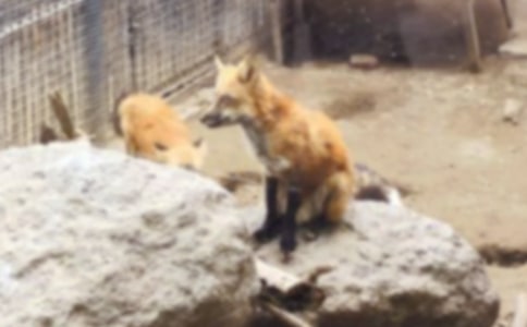 ��(ch��ng)��������c���Ϻ�؂���^(gu��)����