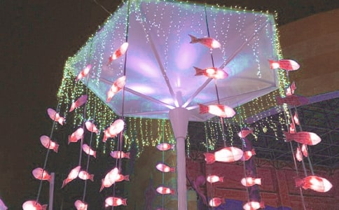 һ�꼉(j��)��������ӛ��ͨ��12ƪ��