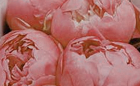 �P(gu��n)�ڻ����Ψ�����ӣ����x380�䣩