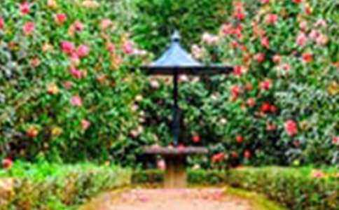 ٝ�����@�ľ���360��