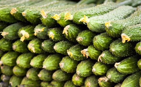 �茑�S�ϵ�����5ƪ