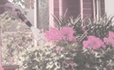 ��������600�ֺϼ���ƪ