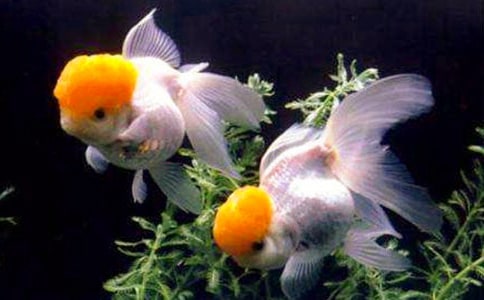 ���~�^����ӛ