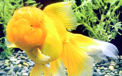 �茑���~������500�֣����x22ƪ��