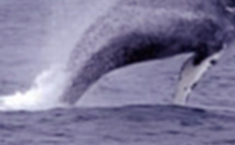 ���x�L�~����300�ֺϼ���ƪ