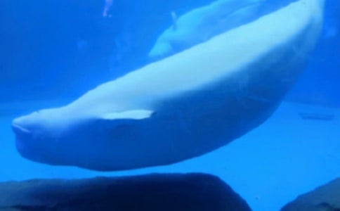 �L�~����ӛ200��