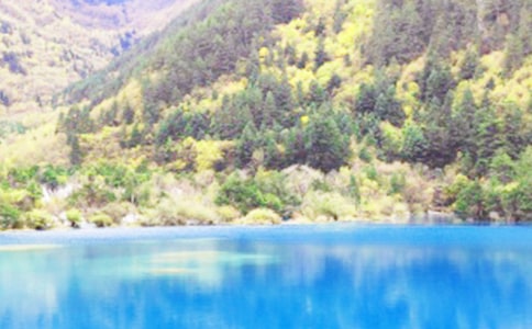 ���]����կ�ό�(d��o)���~