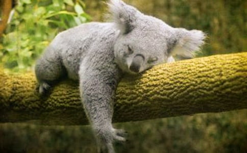 �������ؚw�����y(t��ng)�����D(zhu��n)��(li��n)�W(w��ng)�V��