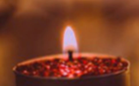 ���Ϟ�T���x���