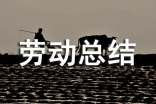 勞動總結(jié)作文