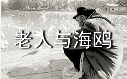 �������c���t���x�������500��