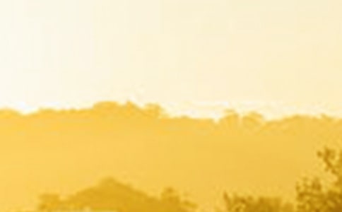 冬天黎明的句子