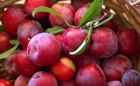 ����������500��