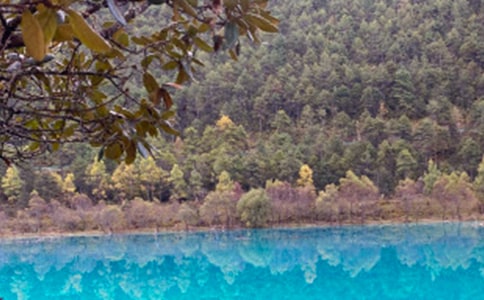 ���������ųǌ�(d��o)���~(15ƪ)