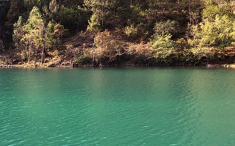 �����Č����~