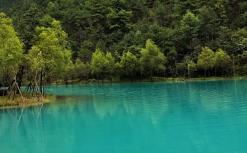 �����ųǾ��^(q��)��(d��o)���~4ƪ