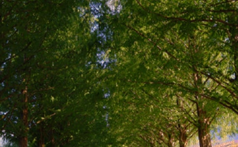 �������a���Į��I(y��)����