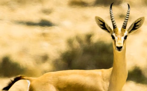 ����ľ���m(x��)��