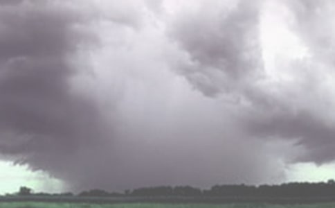 ��B�����L(f��ng)��С�W(xu��)����300�֣����x26ƪ��