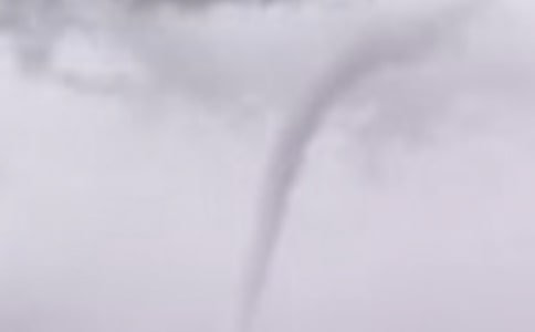 �茑�����L������