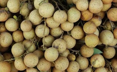 ��������400��10ƪ