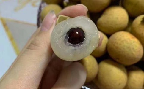 有關(guān)龍眼樹作文四篇