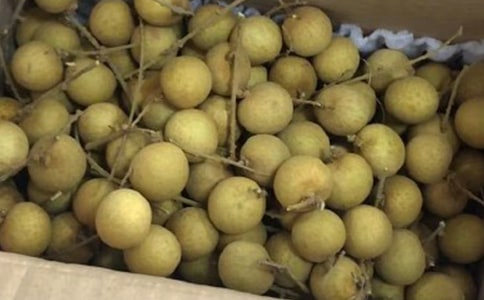 ���ۼ��l(xi��ng)����600��6ƪ