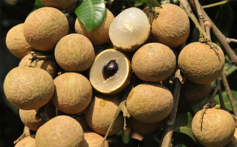 �Ґ�(��i)���l(xi��ng)����������(3ƪ)