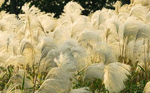 ׌�JȔ���M���`����600�֣�ͨ��25ƪ��