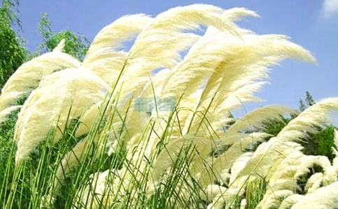 �������L�^�JȔ