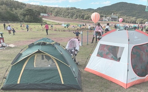 ���{܇¶�I���l(xi��ng)�������I(y��)�B(t��i)