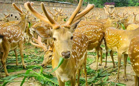 ���P(gu��n)÷��¹ͯԒ����3ƪ